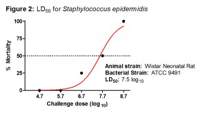 Figure 2 - S epidermidis