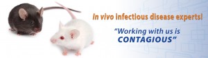In vivo infectious disease experts