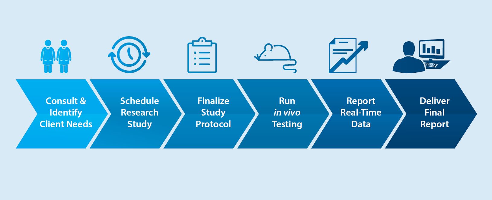 TransPharm's research process