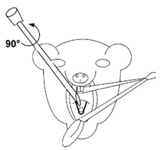 intratracheal dosing