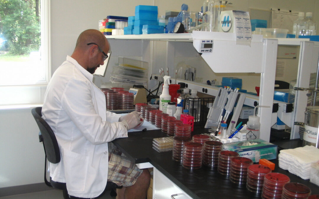 In Vivo Infection Models and Common Mistakes When Choosing Them