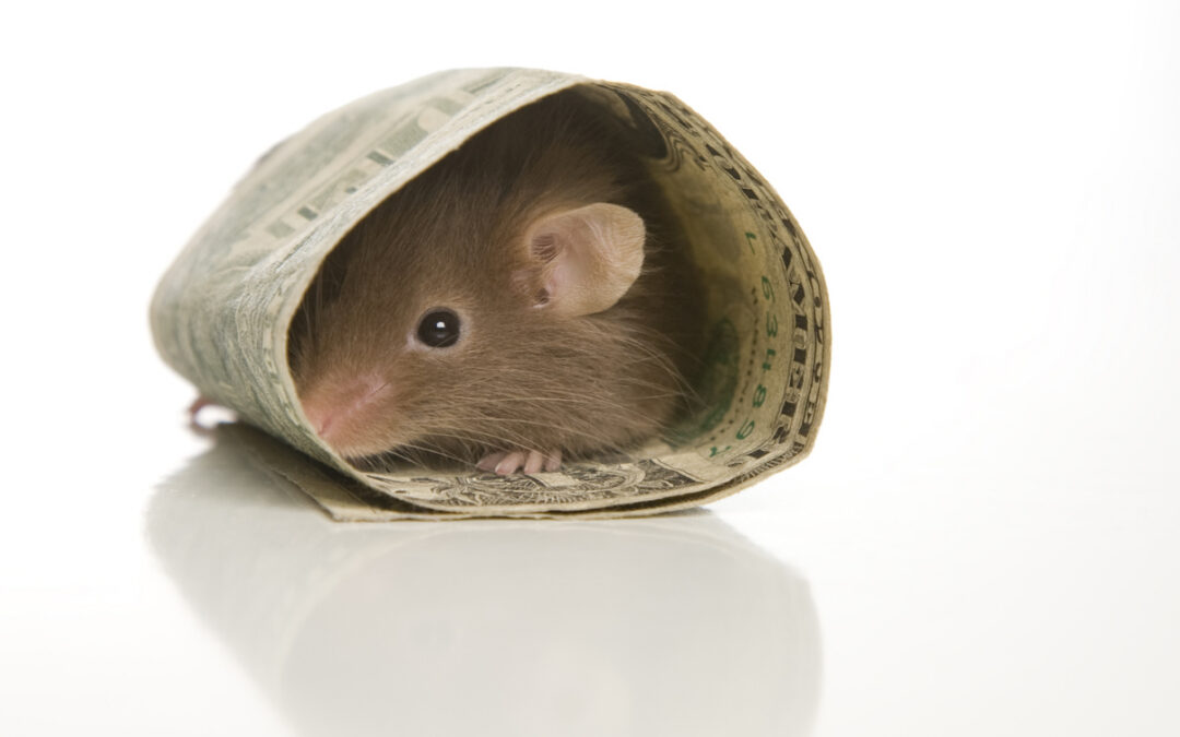 Key Cost Drivers of In Vivo Infection Models