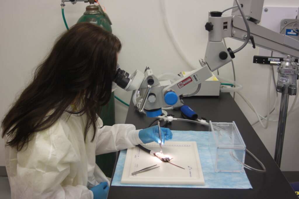 Infectious Disease In Vivo Models FAQ